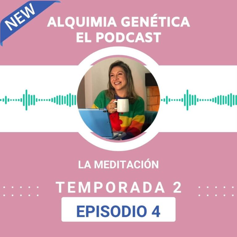 T2-Episodio 4: La meditación